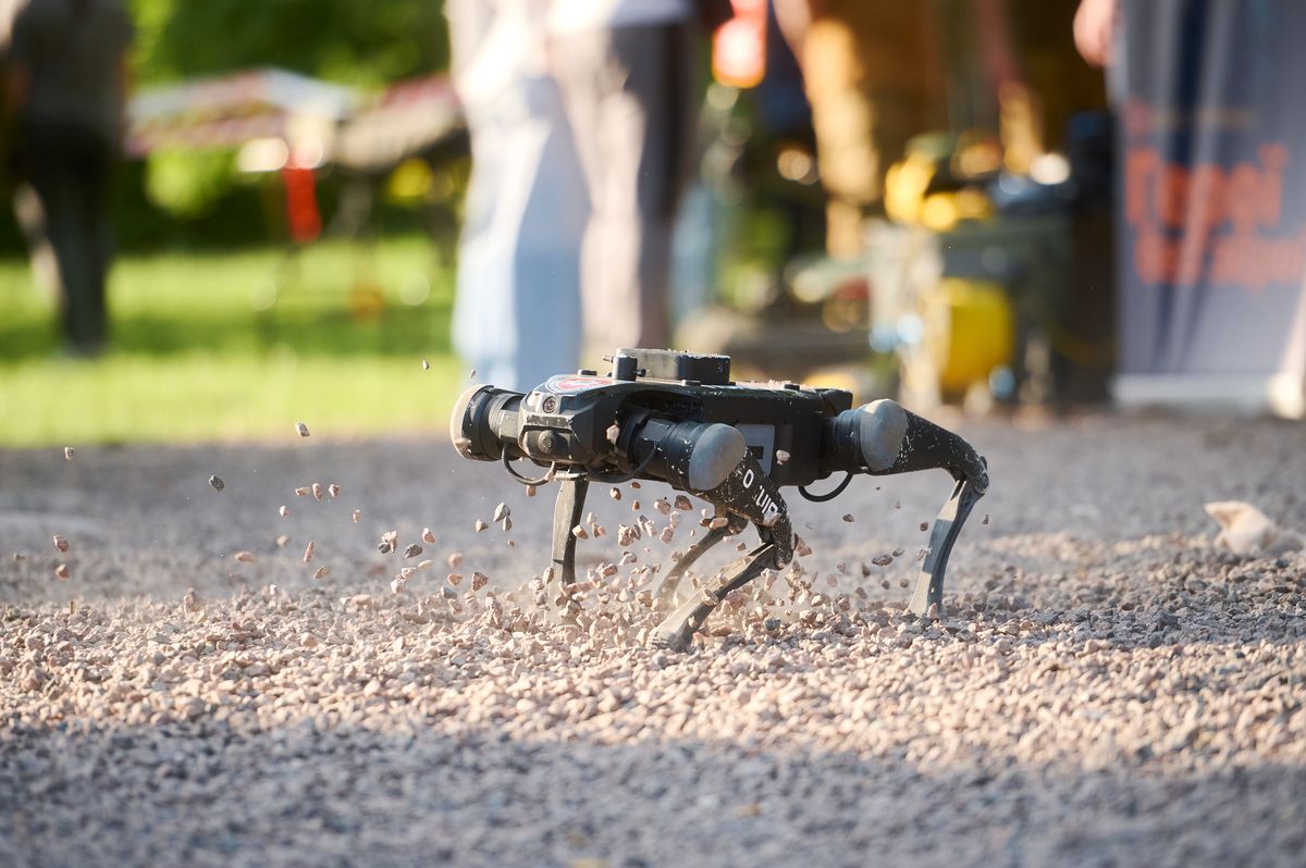 Фестиваль кар'єри