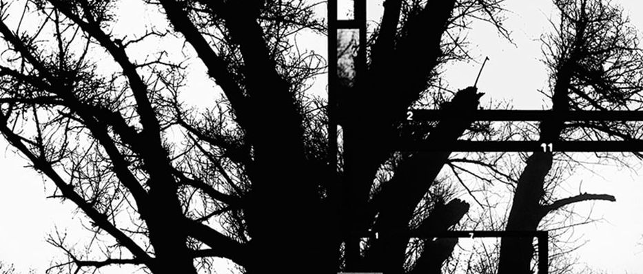 Ландшафт нашої пам'яті