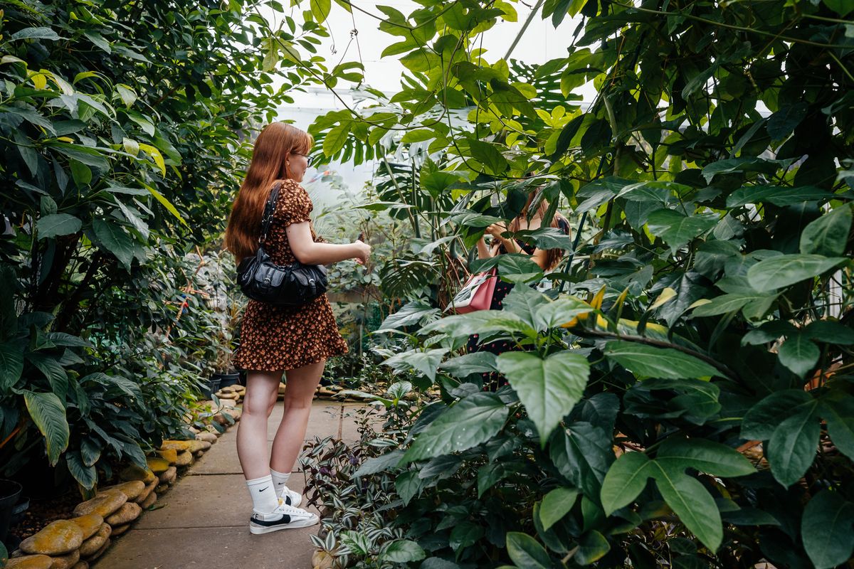 Планета метеликів