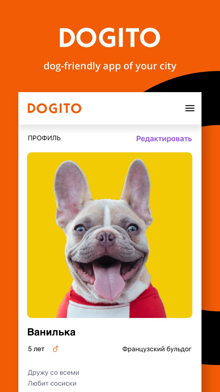 Dogito