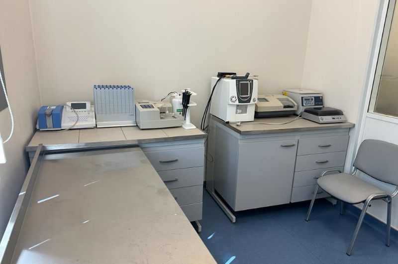 Асоціація захисту прав людей з інвалідністю в Україні