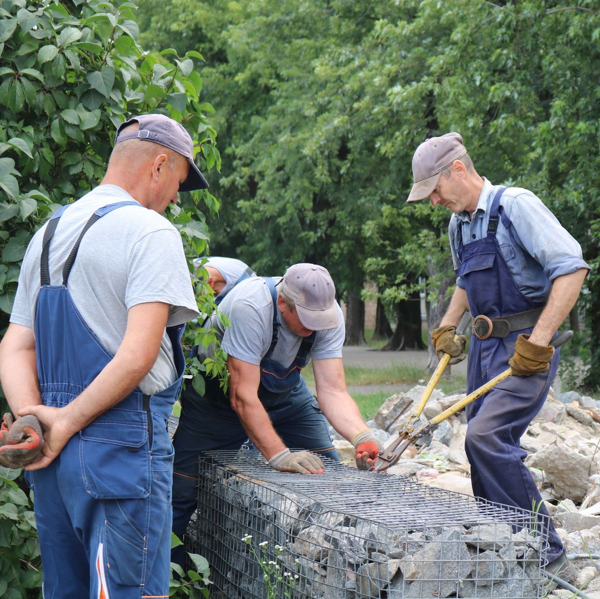 озеленення в Подільському районі