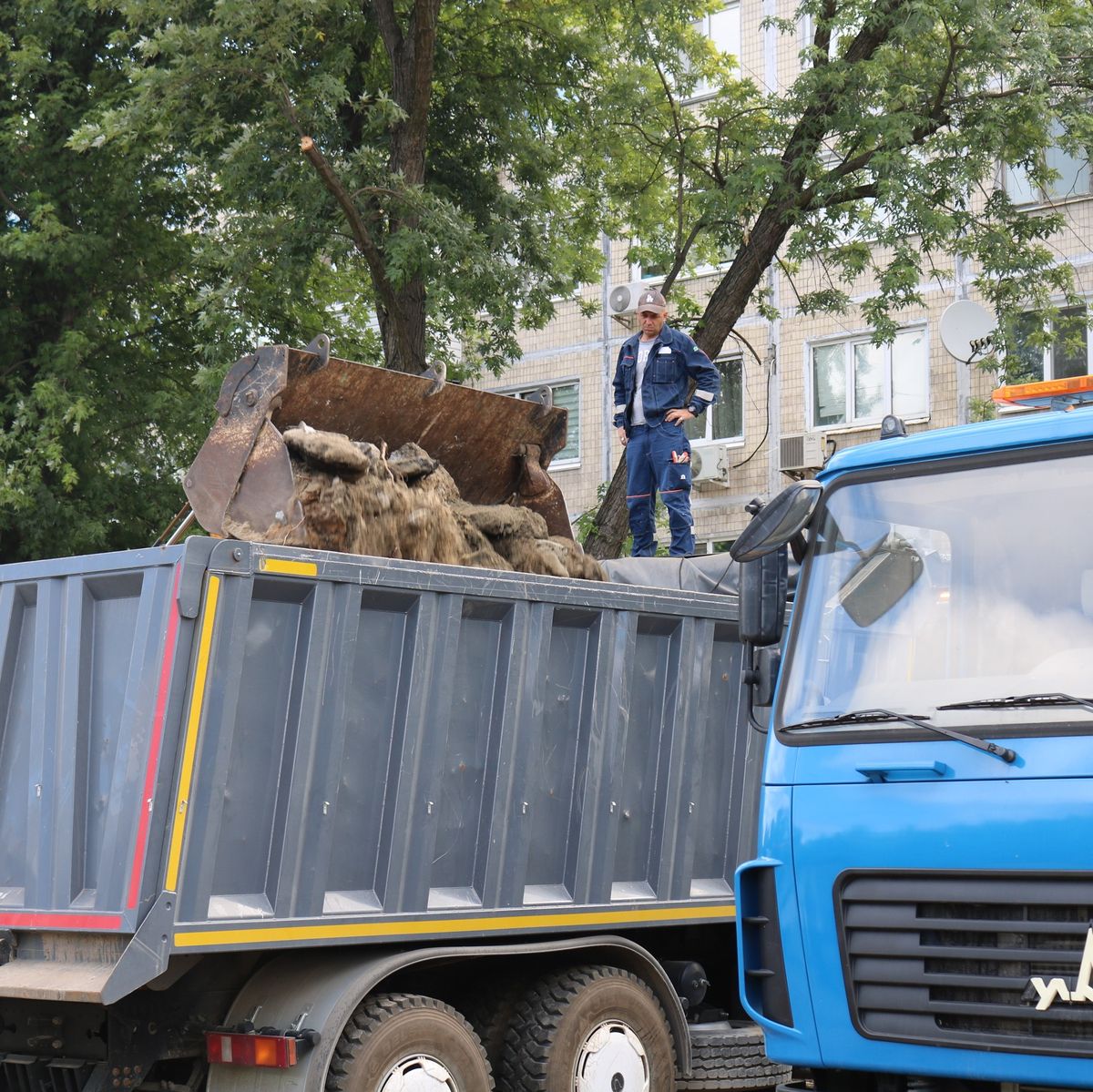 озеленення в Подільському районі