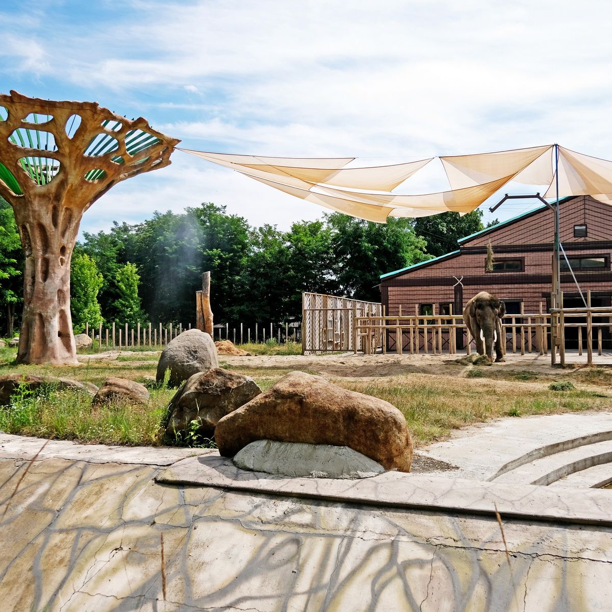 Київський зоопарк