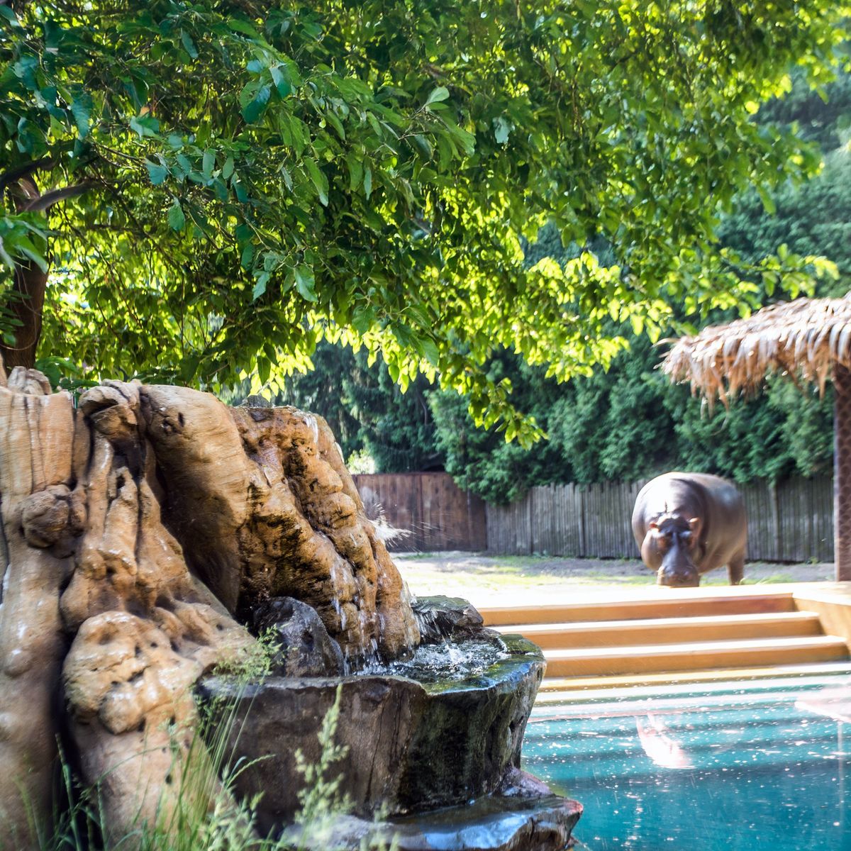 Київський зоопарк