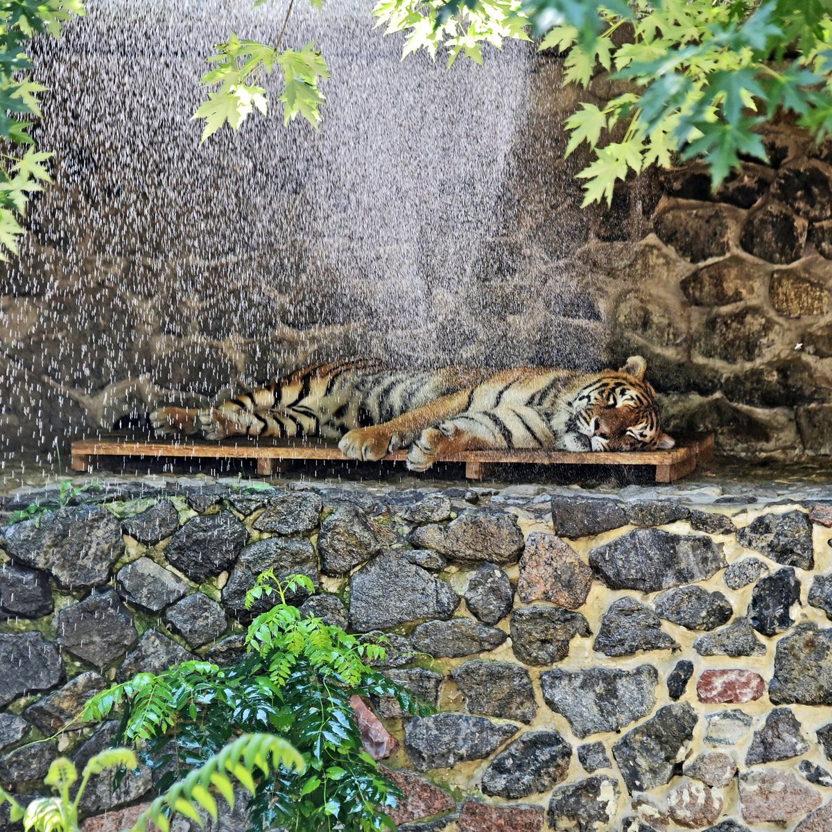 Київський зоопарк