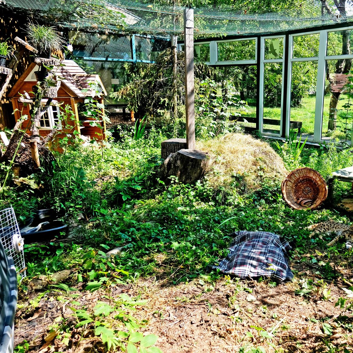 Київський зоопарк