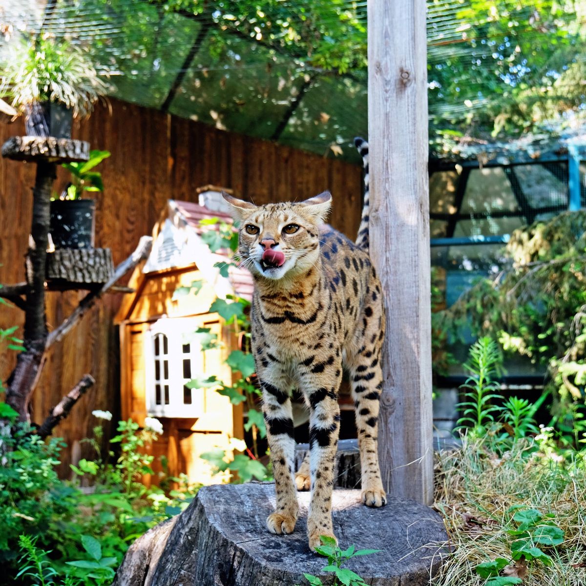 Київський зоопарк