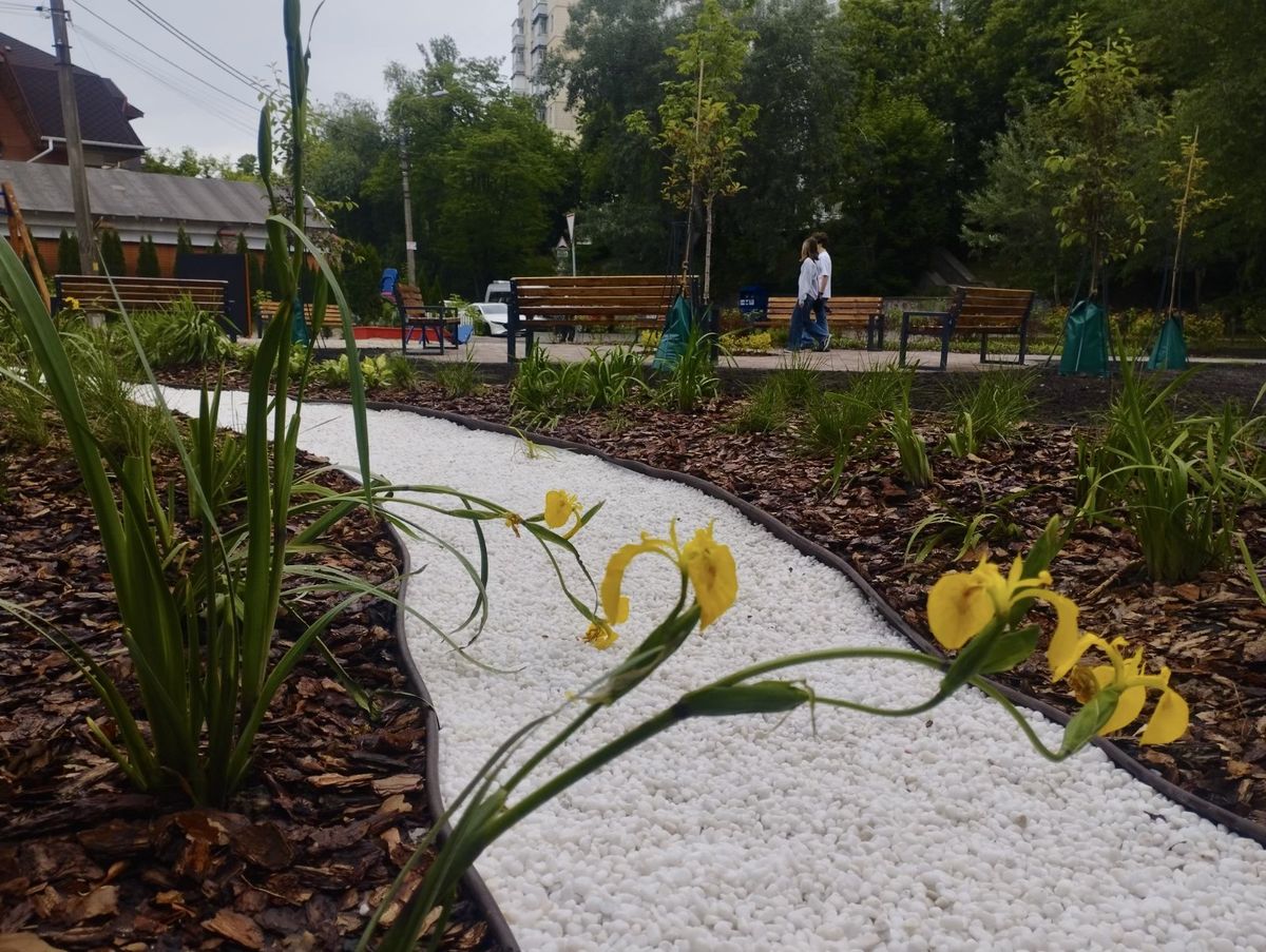 дощовий садок