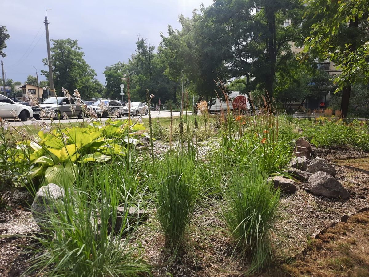 дощовий садок