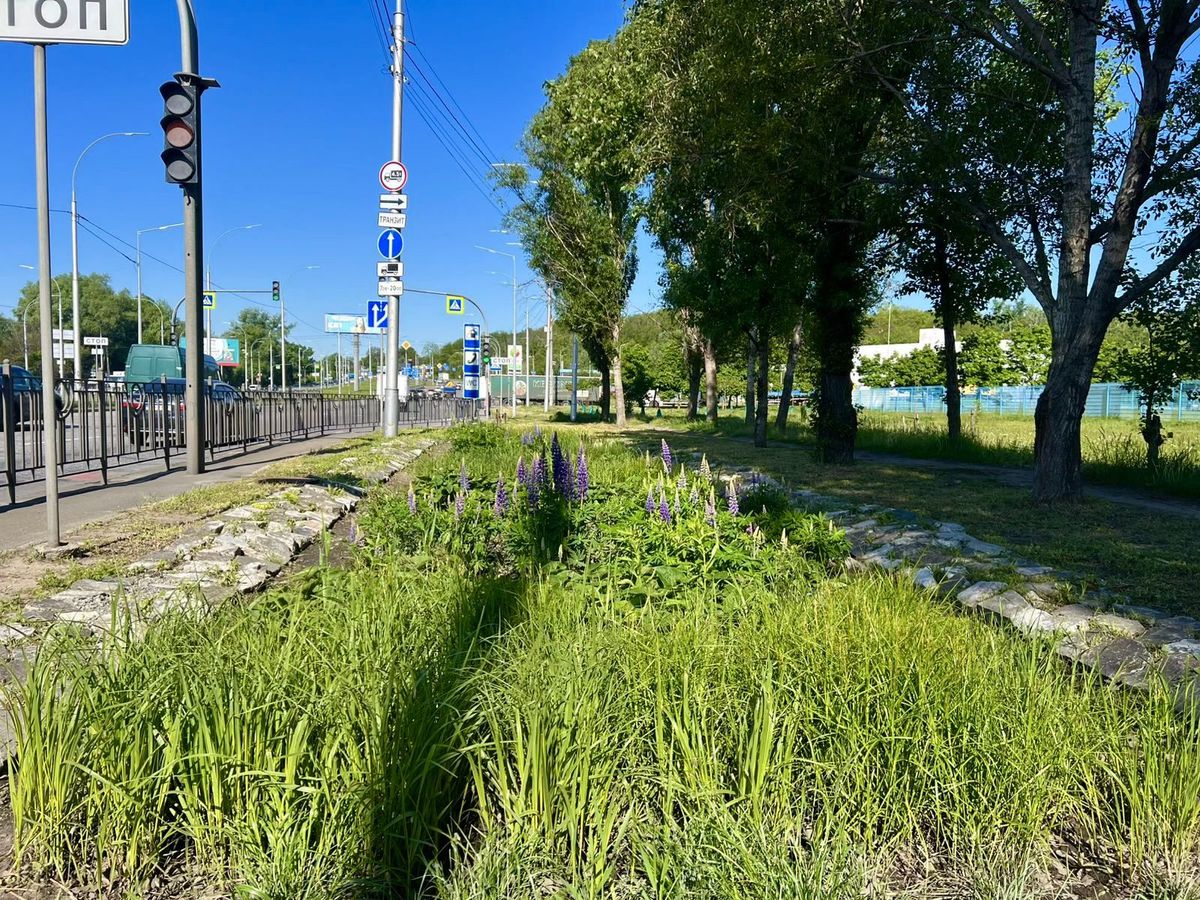 дощовий садок