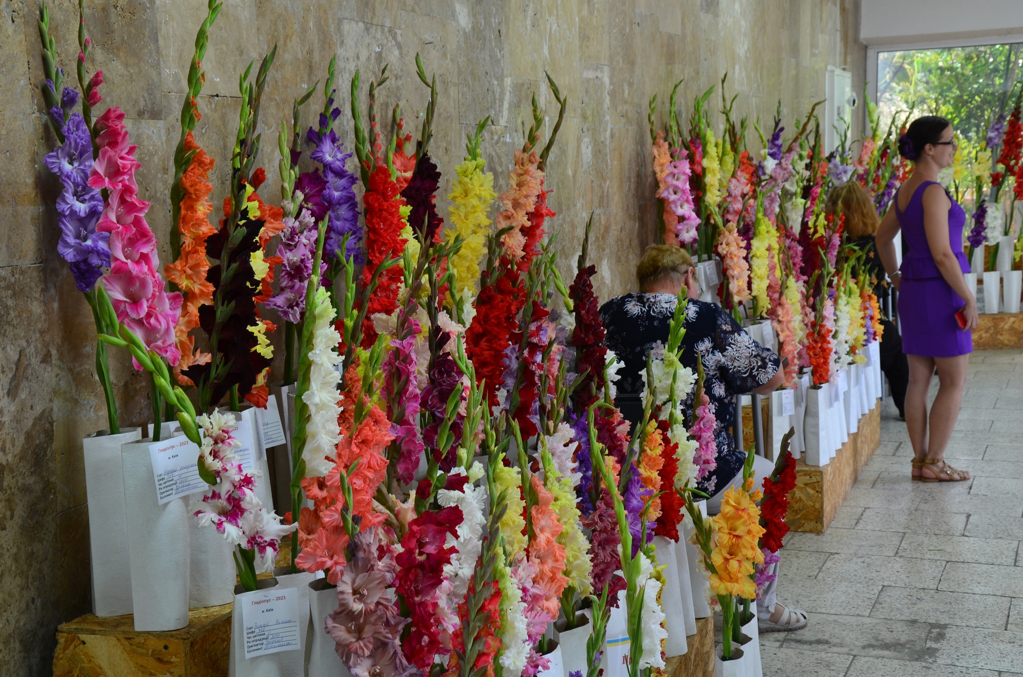 Виставку гладіолусів можна відвідати з 8 серпня у Ботсаду