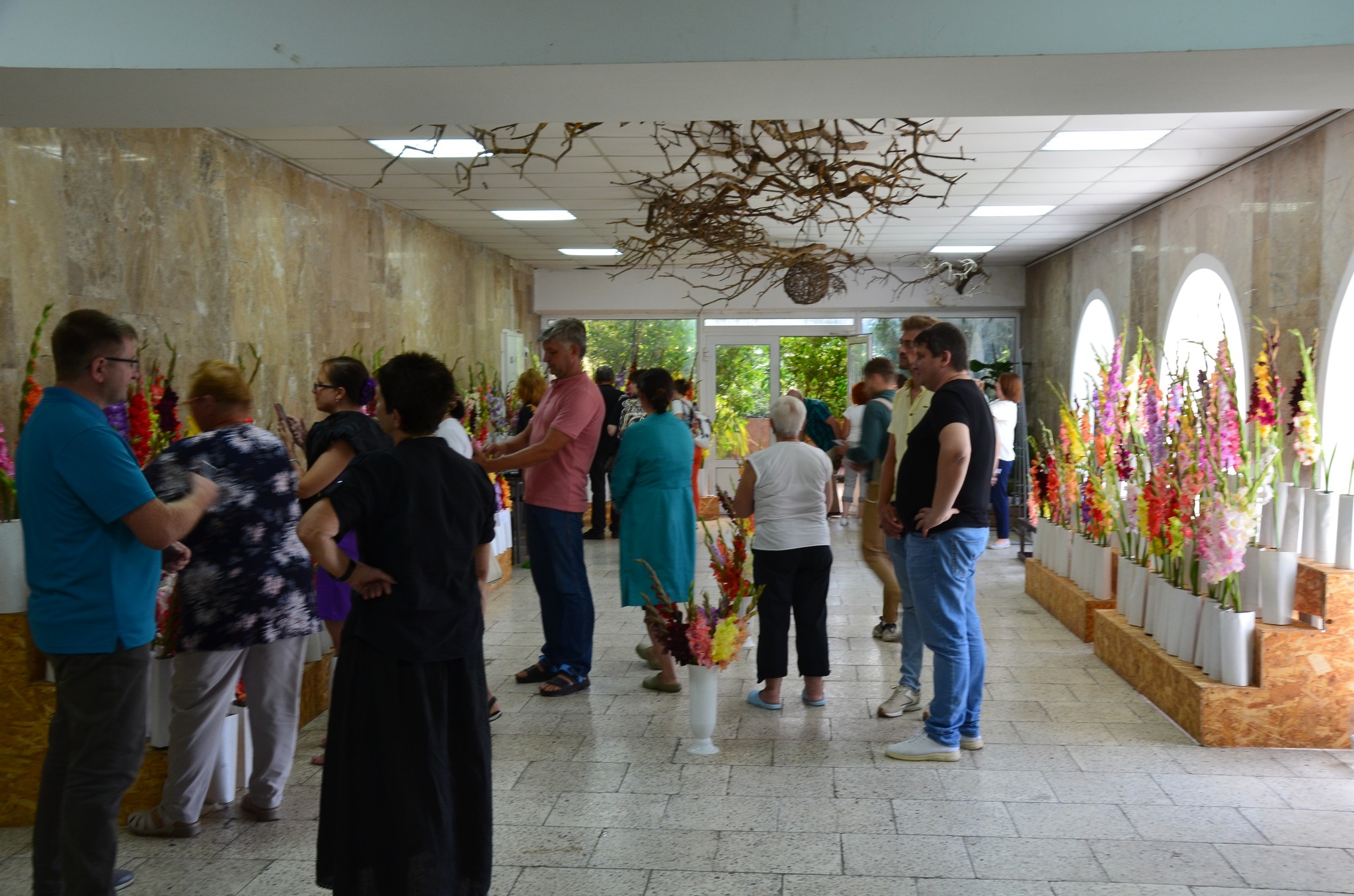 На виставці у Ботсаду можна придбати колекційні гладіолуси