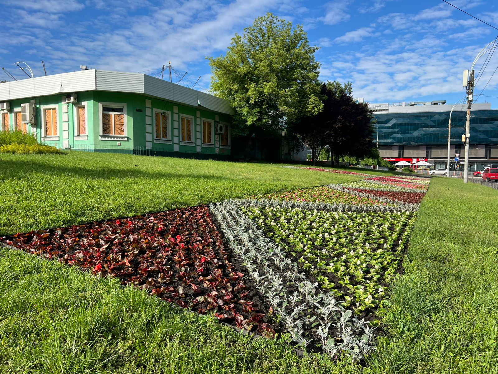 У Києві озеленюють вулиці - у КМДА назвали кількість посаджених дерев