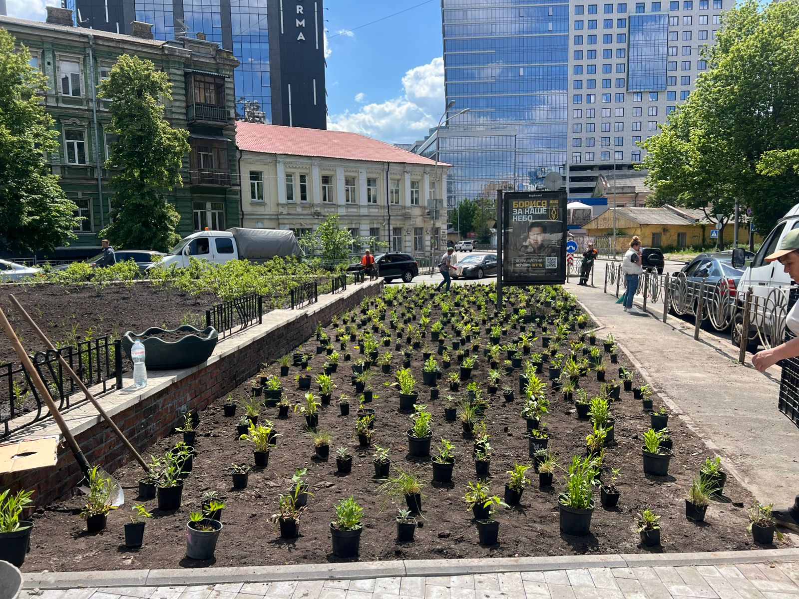 У Києві з'явилося понад 400 дерев з початку року