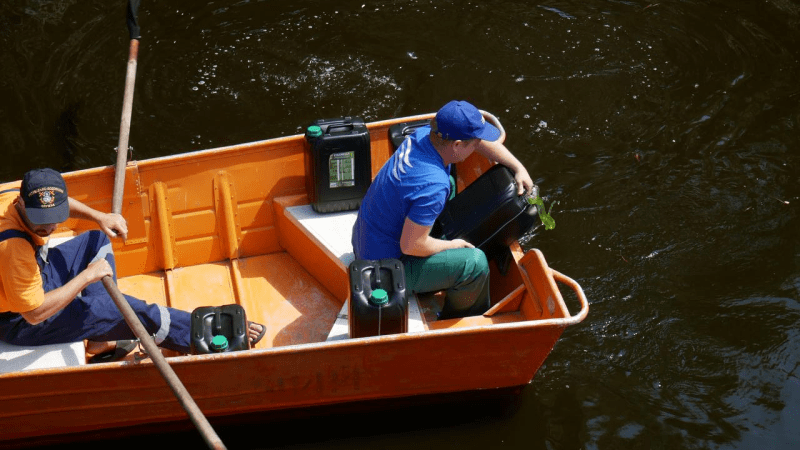 Зелена вода та цвітіння водойм у спеку — приклад сезонного явища в місті