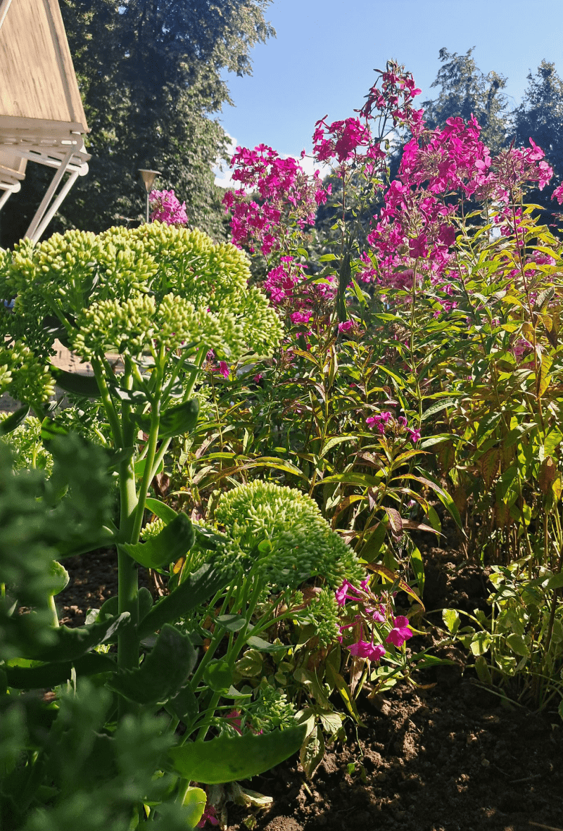 У київському парку з'явилися вуличні меблі