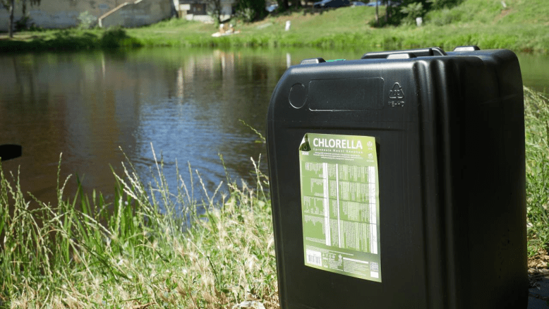 Фахівці проводять біообробку водойм Києва