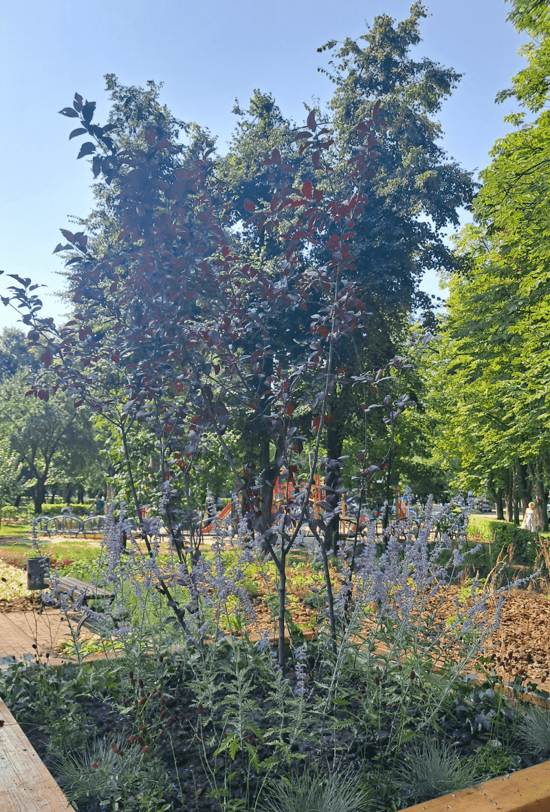 Комунальники Києва виготовили вуличні меблі для скверу