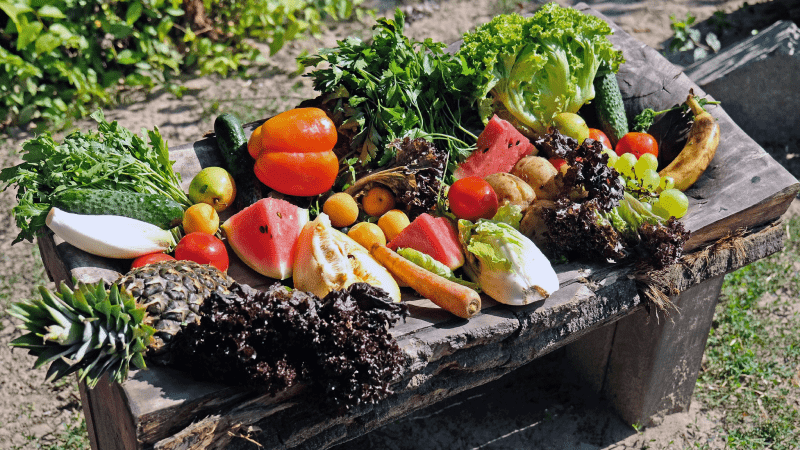 Горила Тоні є найстарішим у Європі