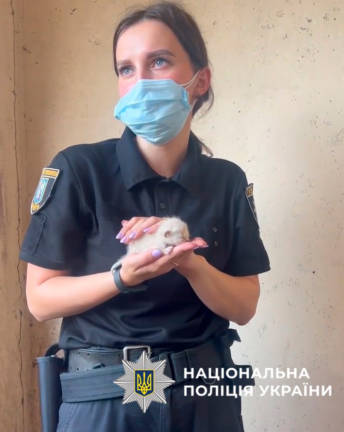 Поліція Києва