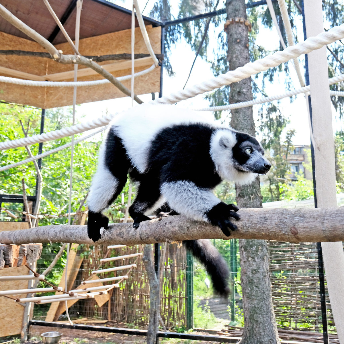 Київський зоопарк