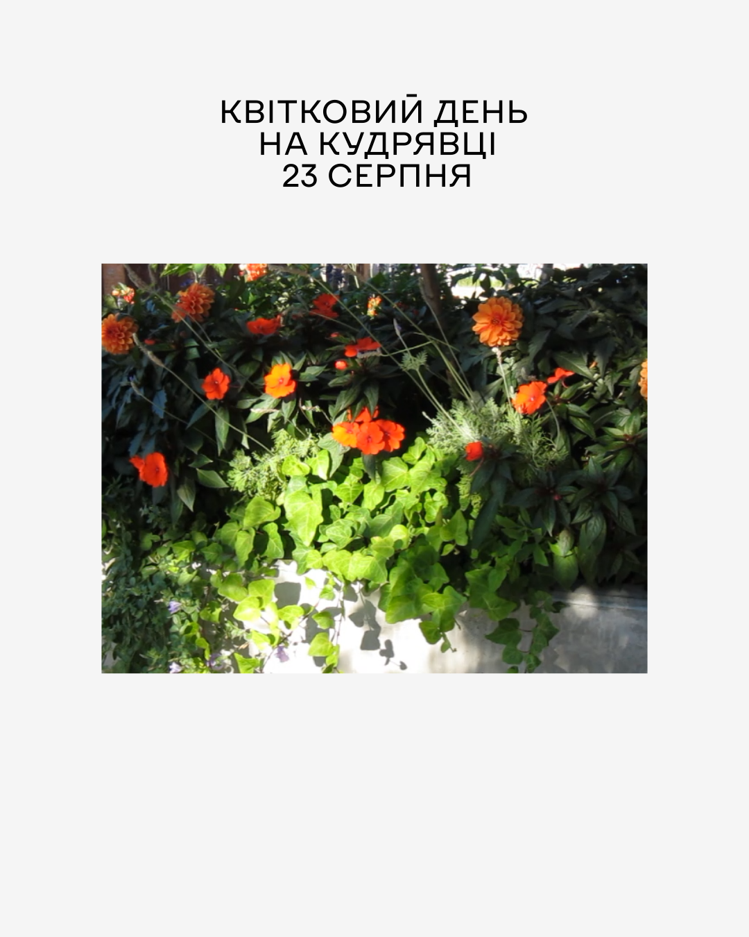 Квітковий день