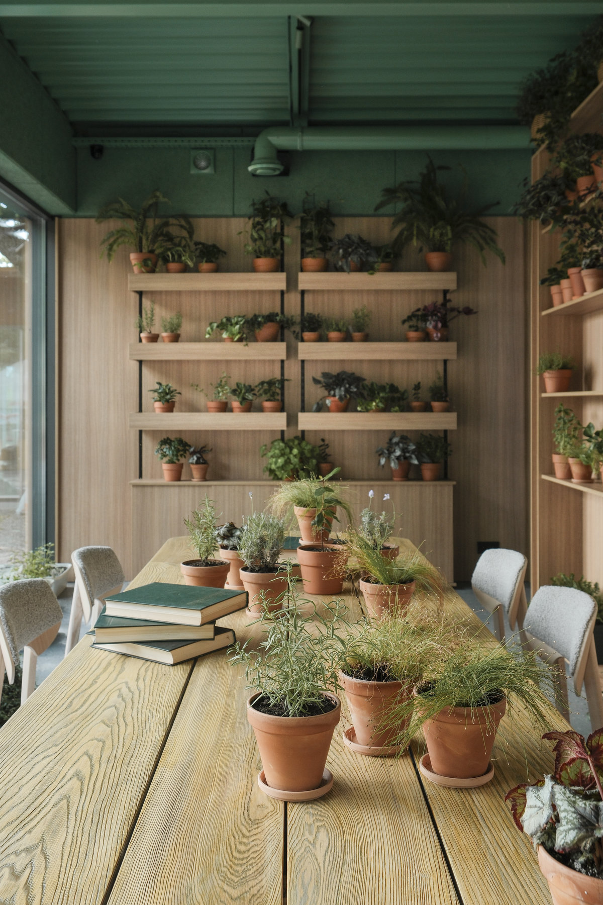 Стрічка ВДНГ