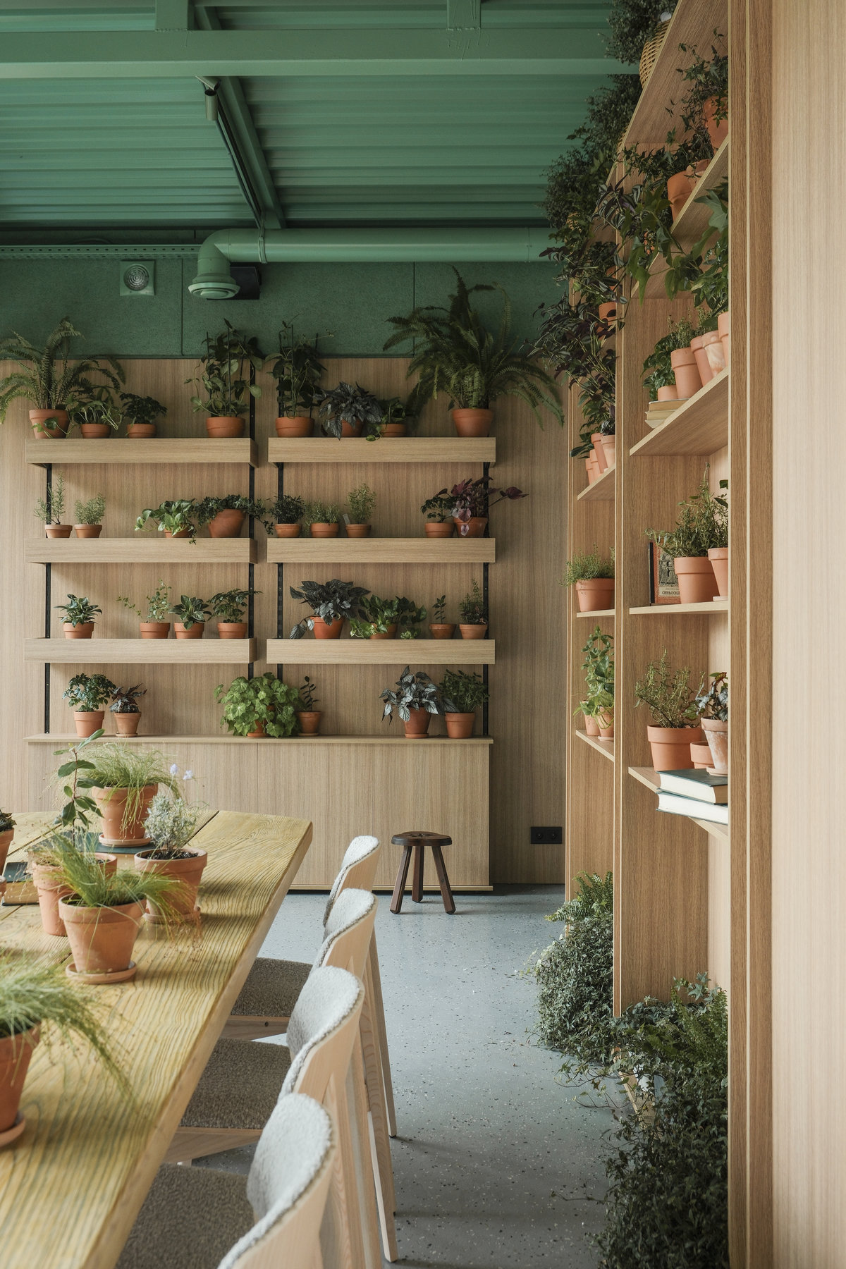 Стрічка ВДНГ