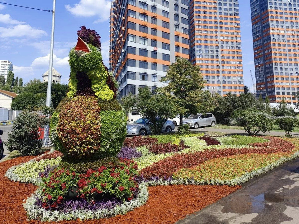 Квіткові композиції в Києві