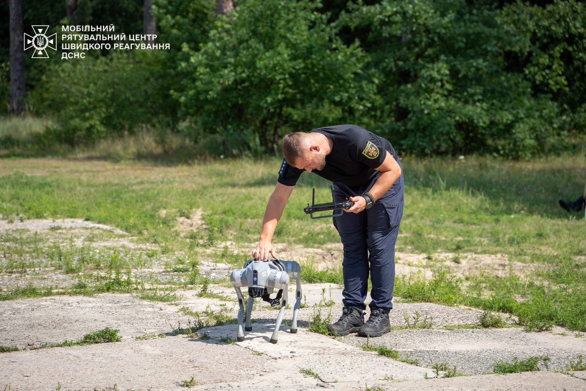 собака-робот