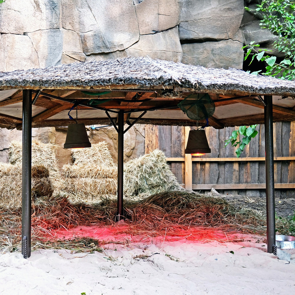 київський зоопарк