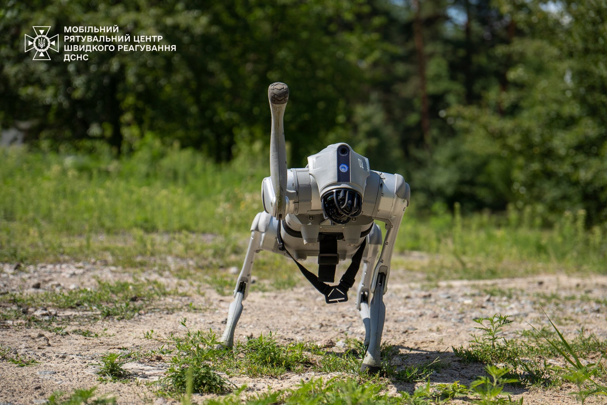 собака-робот