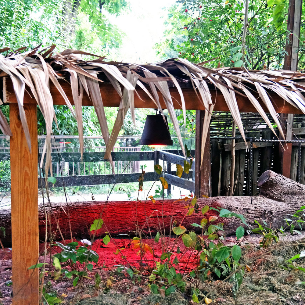 київський зоопарк