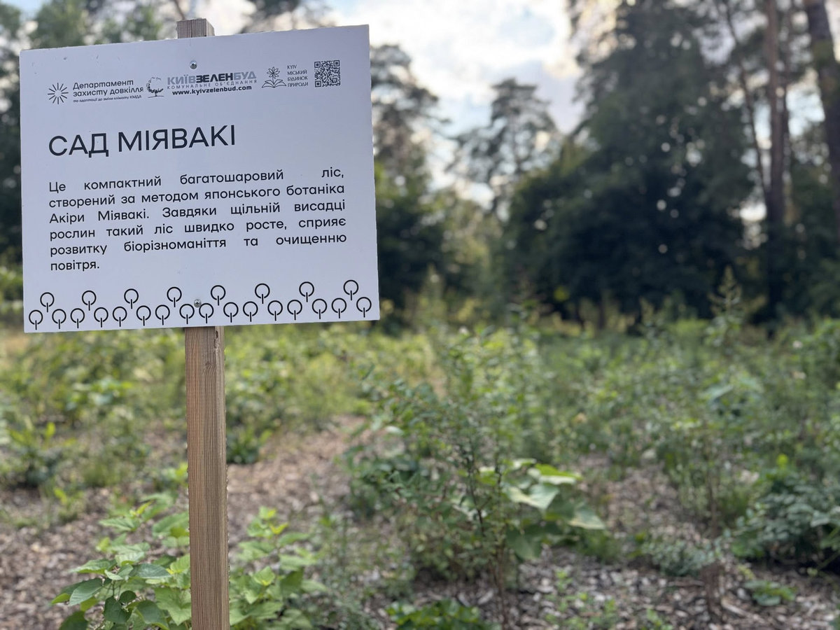 сад Міявакі