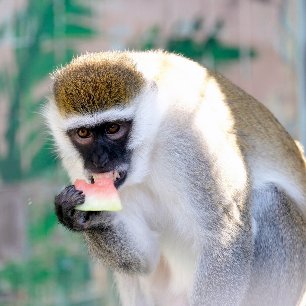 зоопарк у Києві