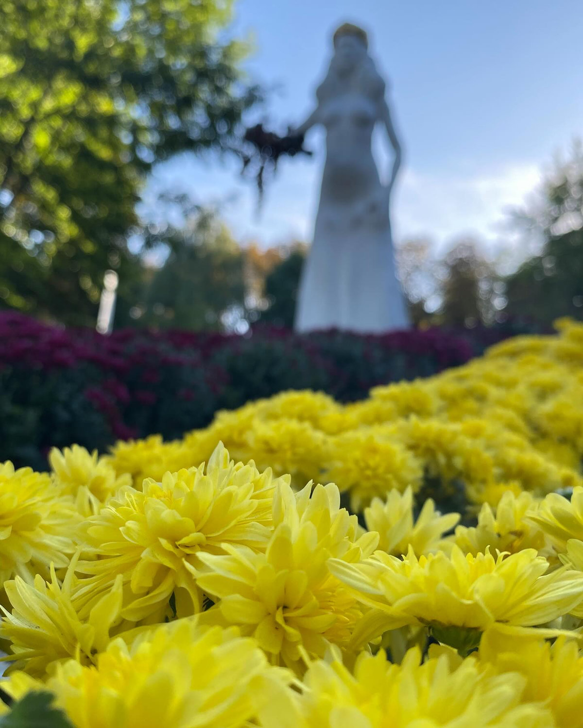 Співоче поле