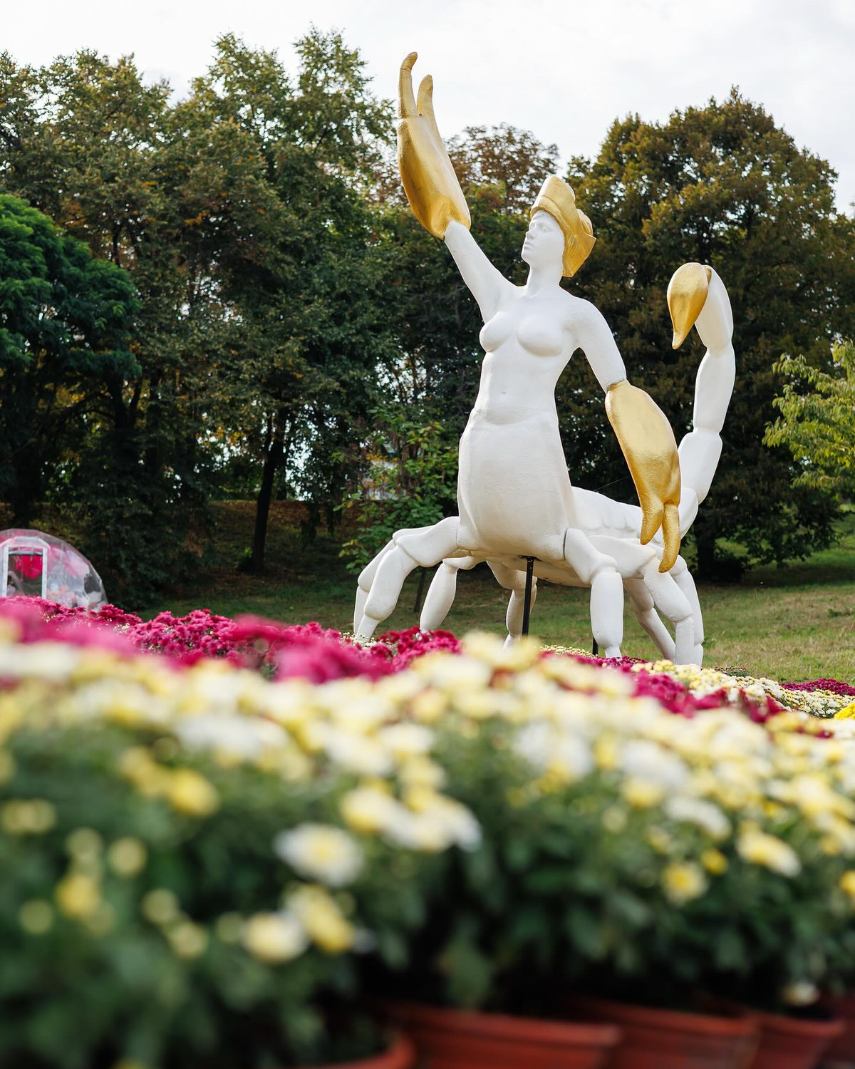 Співоче поле