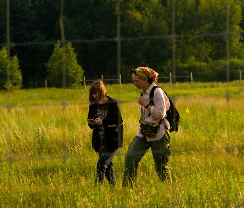 Дослідження кажанів біля Чорнобиля