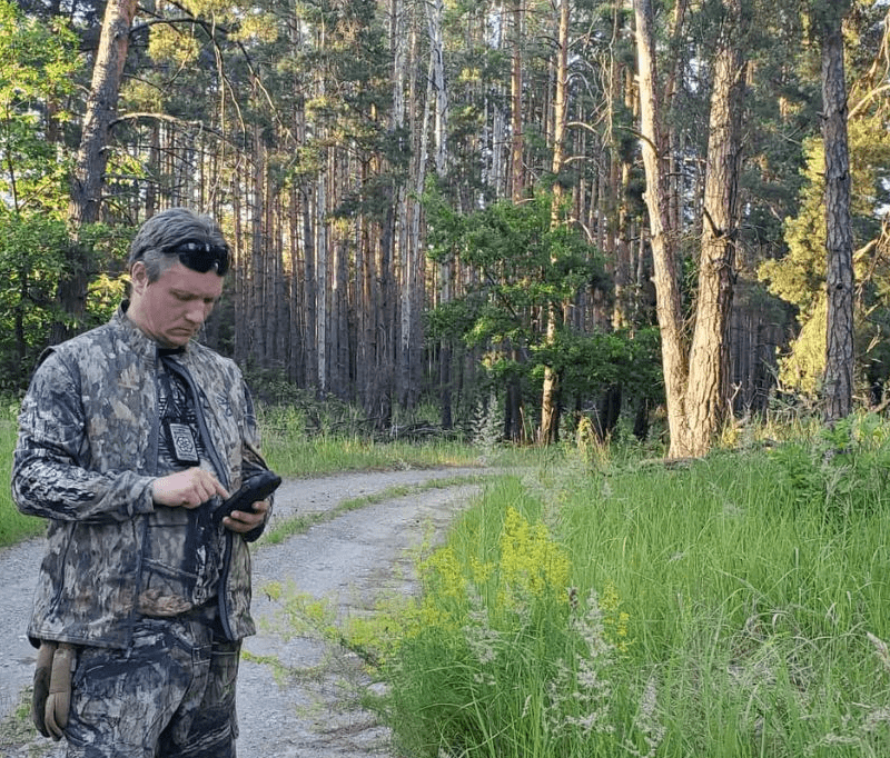 Чорнобилські кажани: чим вони особливі