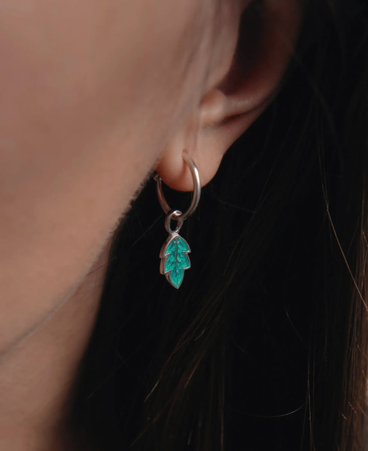 Ліс усередині