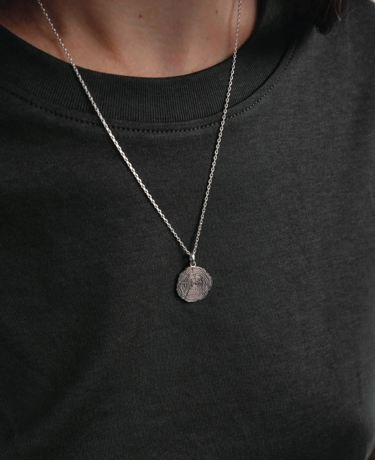 Ліс усередині