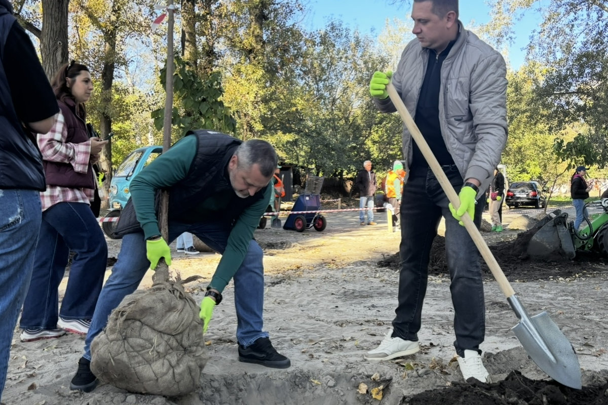 висадка катальп