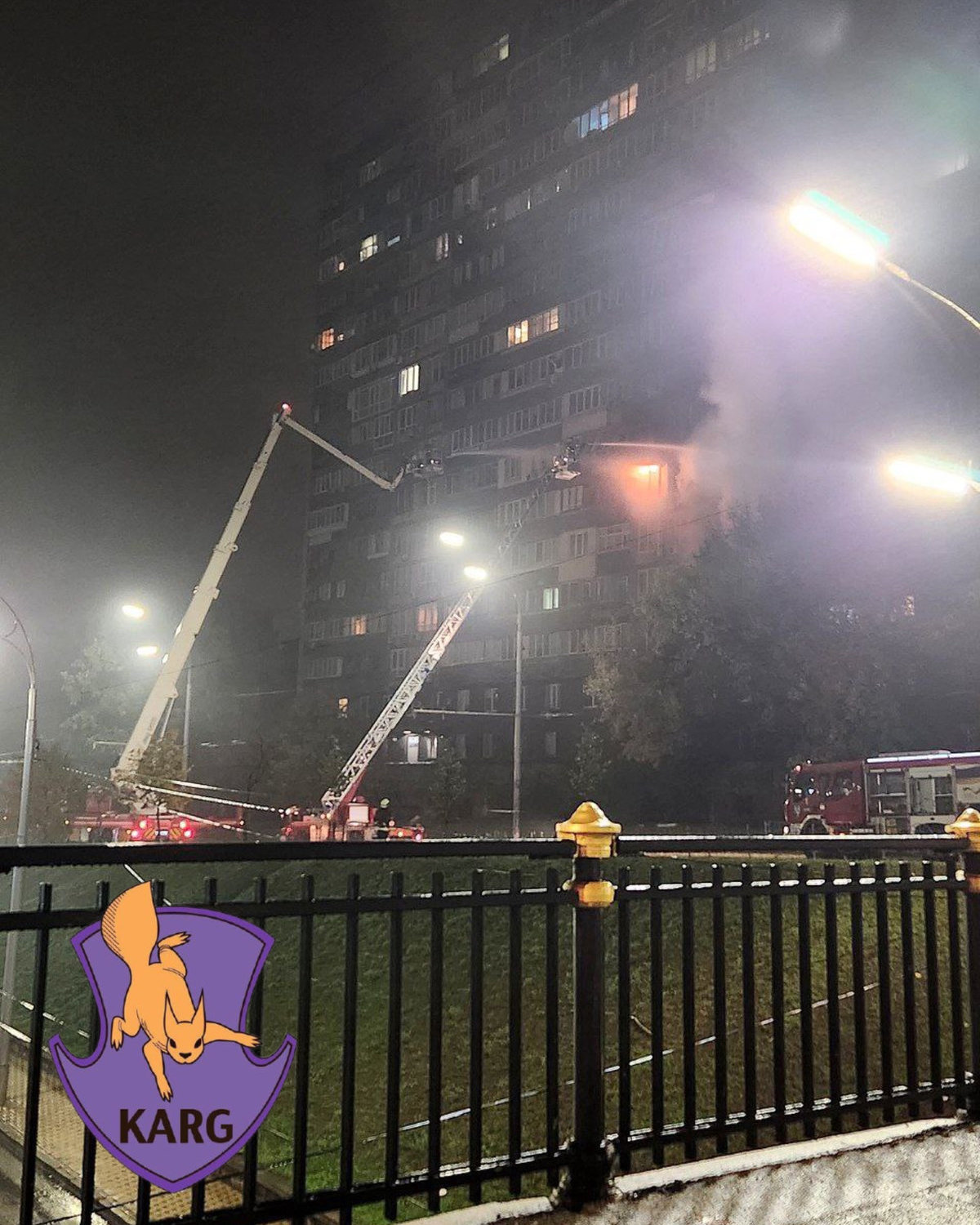 Команда порятунку тварин