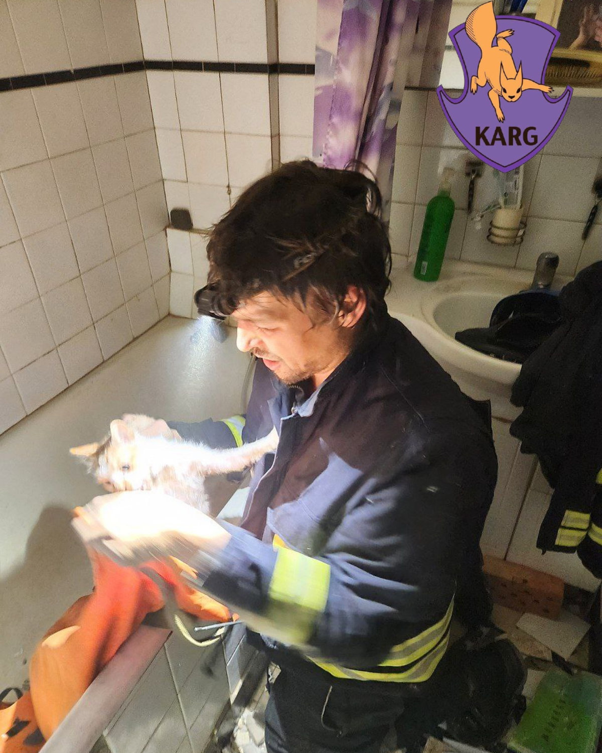 Команда порятунку тварин