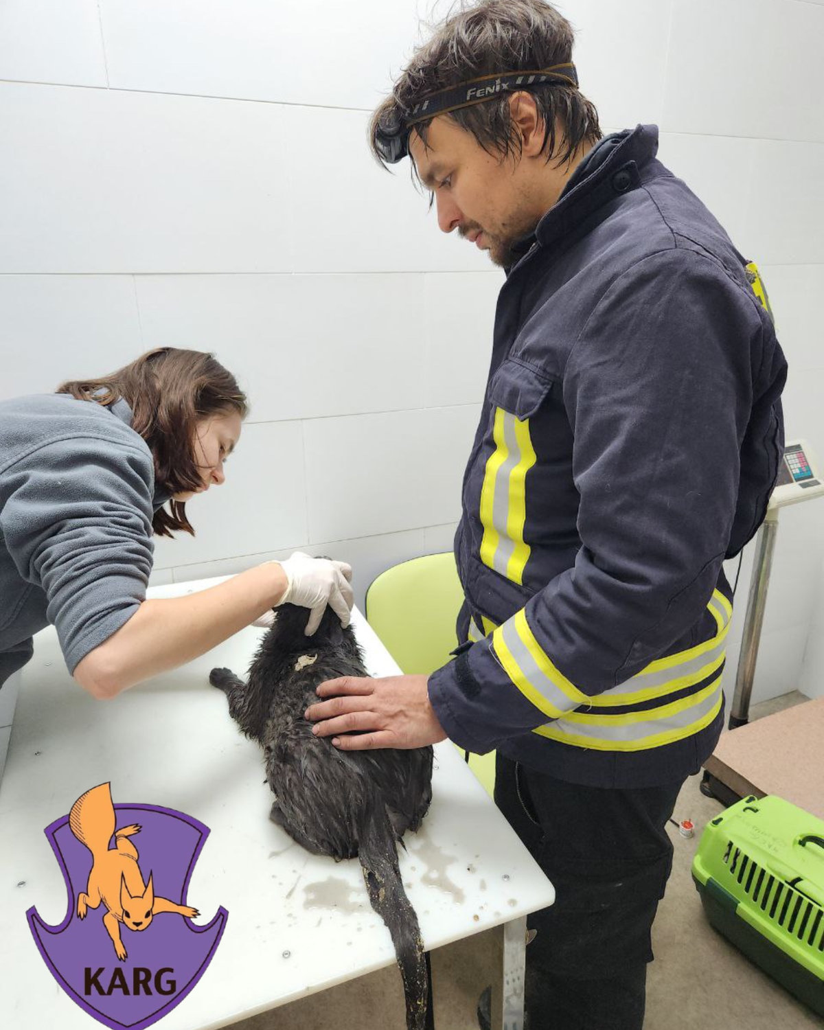 Команда порятунку тварин