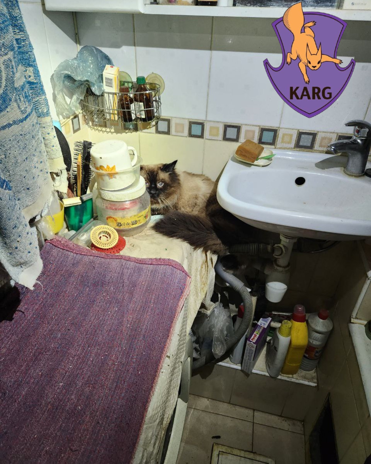 Команда порятунку тварин