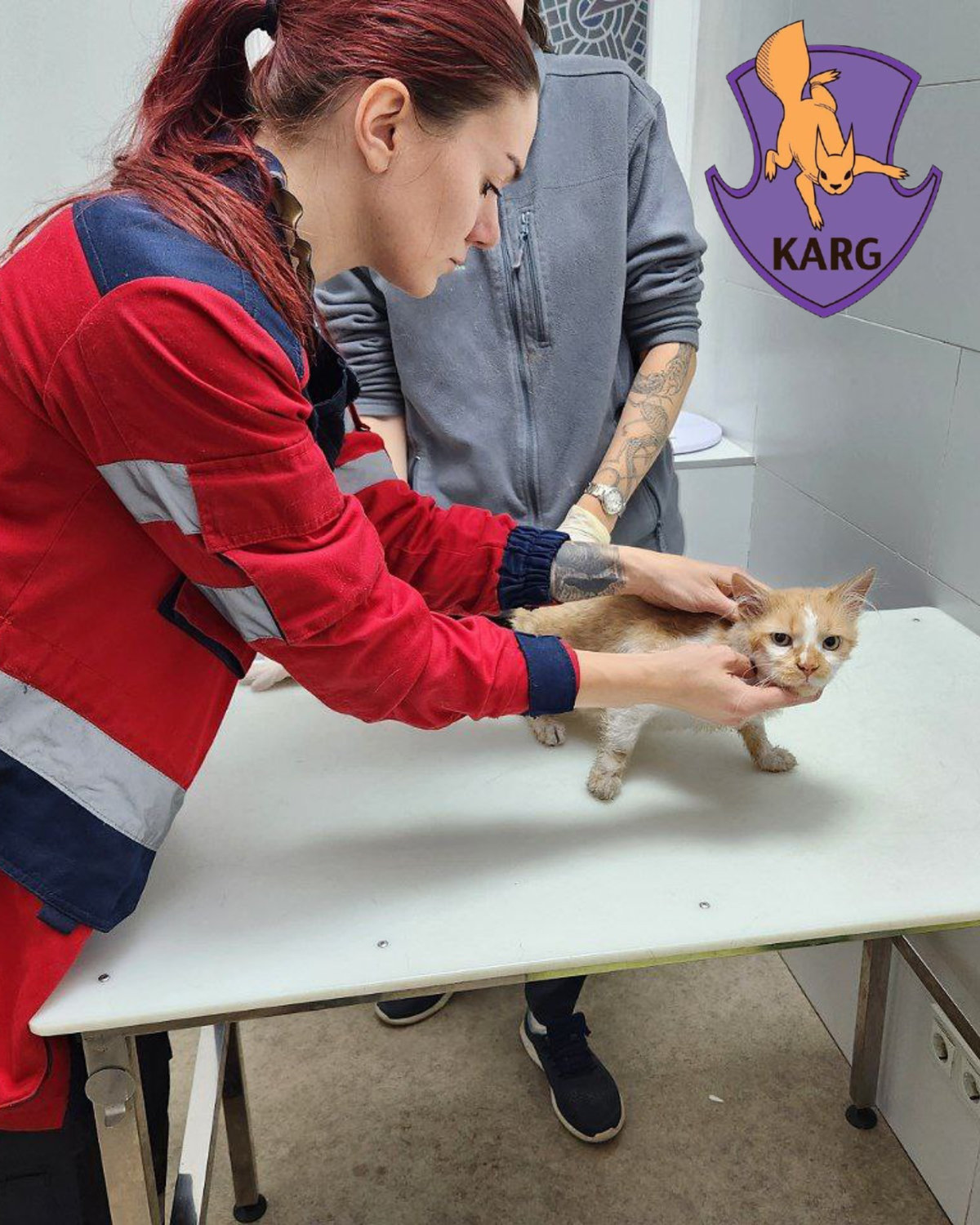 Команда порятунку тварин