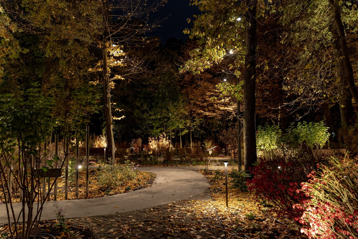 Терапевтичний сад