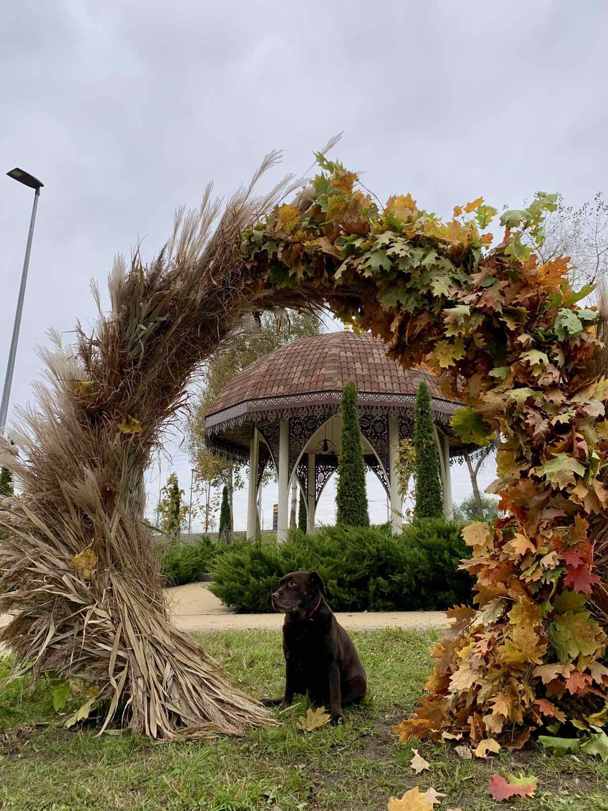 фотозона в Деснянському районі